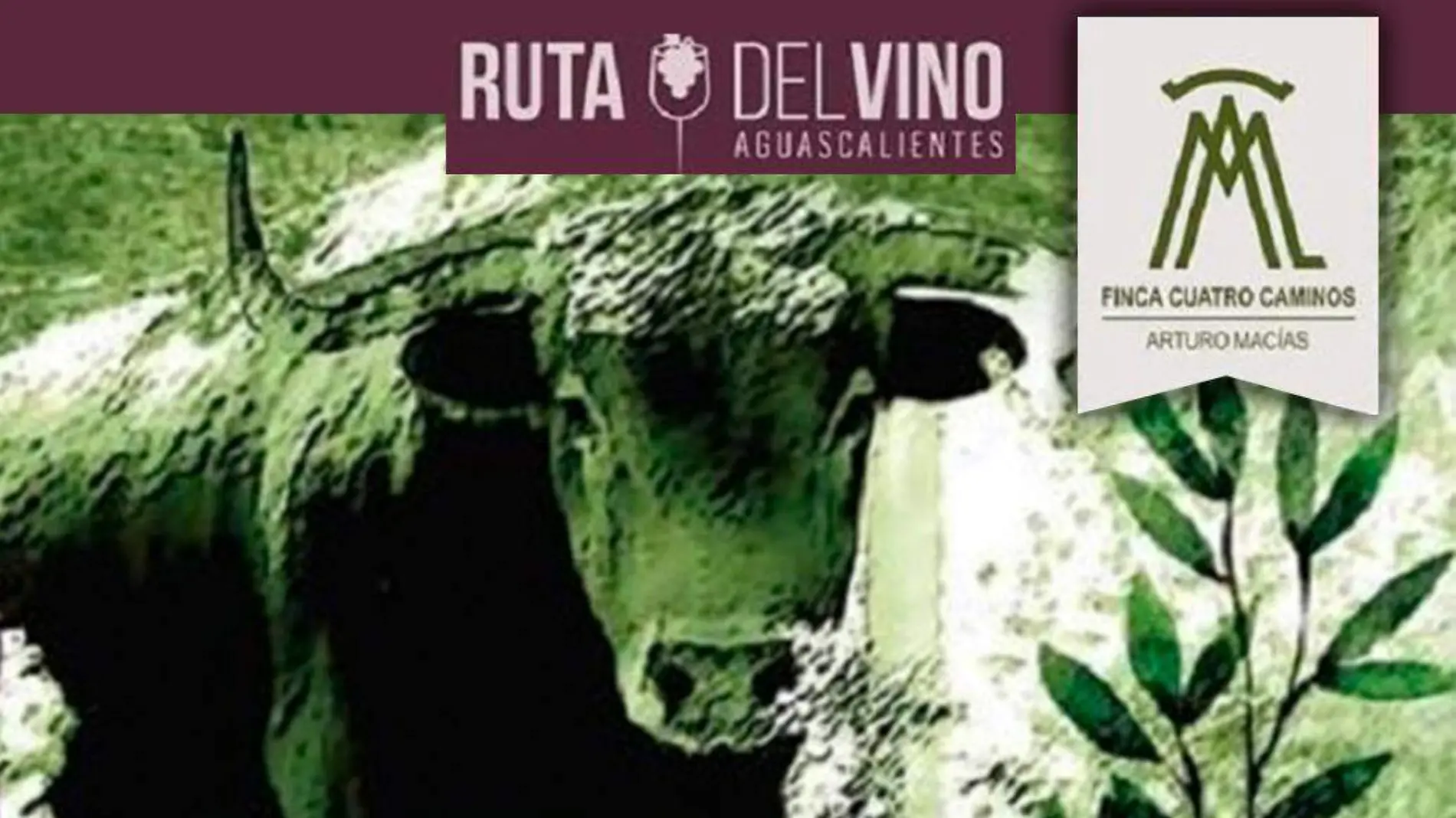 ruta del vino toros